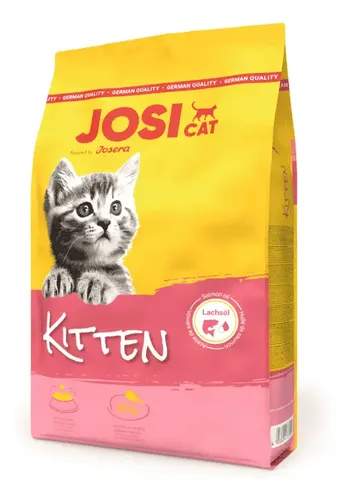 JosiCat Kitten